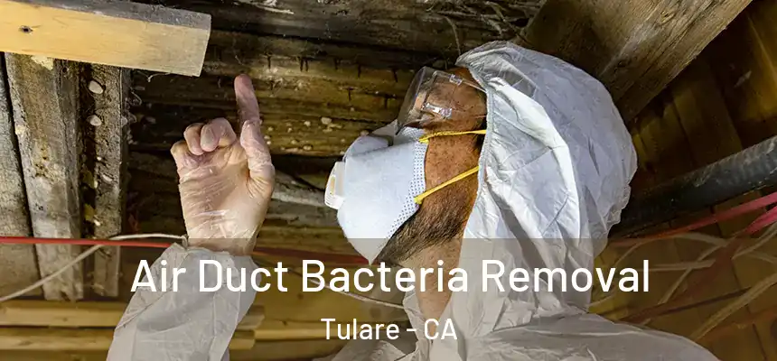  Air Duct Bacteria Removal Tulare - CA