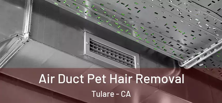 Air Duct Pet Hair Removal Tulare - CA