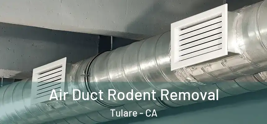 Air Duct Rodent Removal Tulare - CA