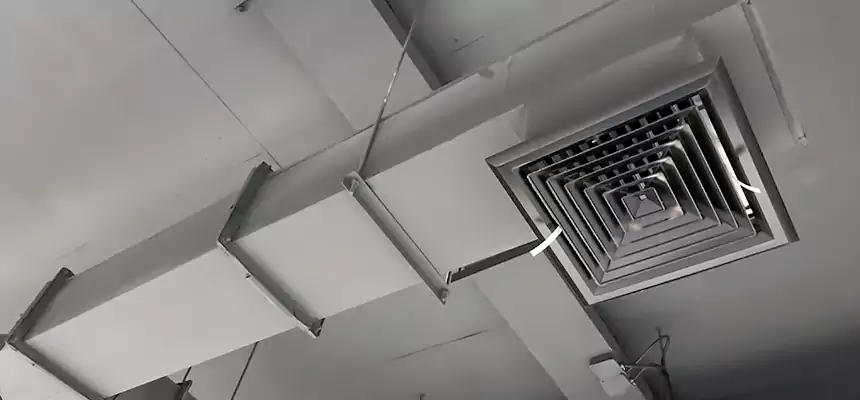 Our Rodent Droppings In Vents Services in Tulare, CA