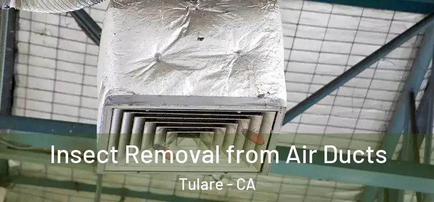  Insect Removal from Air Ducts Tulare - CA