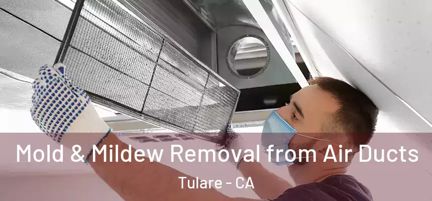 Mold & Mildew Removal from Air Ducts Tulare - CA