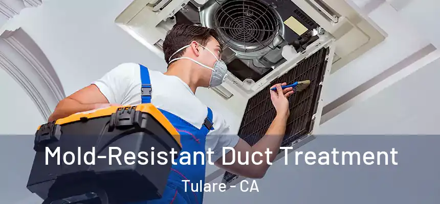 Mold-Resistant Duct Treatment Tulare - CA