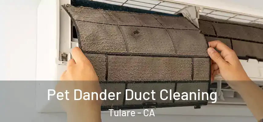  Pet Dander Duct Cleaning Tulare - CA