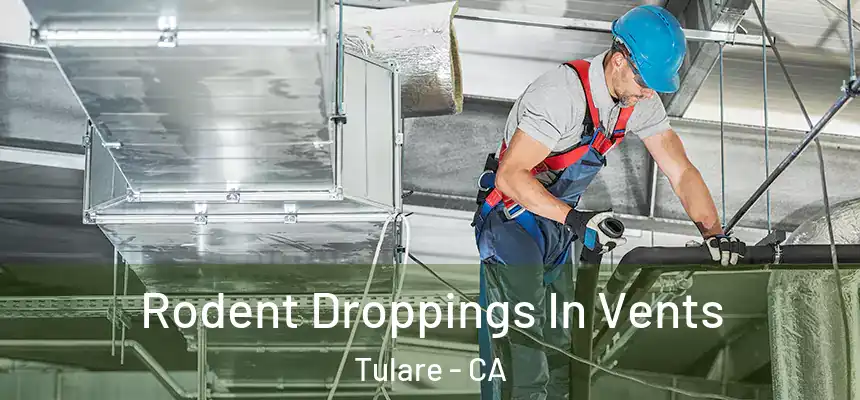 Rodent Droppings In Vents Tulare - CA
