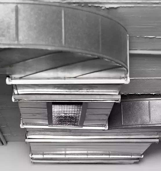 Professional Air Duct Pest Removal in Tulare, CA