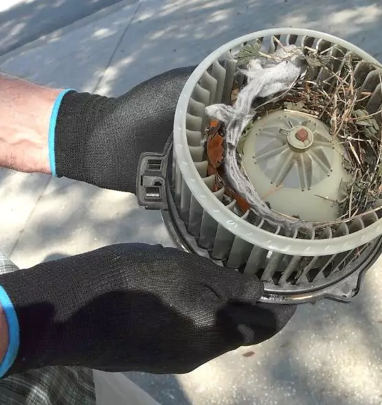 About Air Duct Rat Removal in Tulare, CA