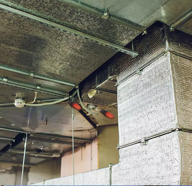 Why Homeowners & Businesses Trust Us in Tulare, CA?