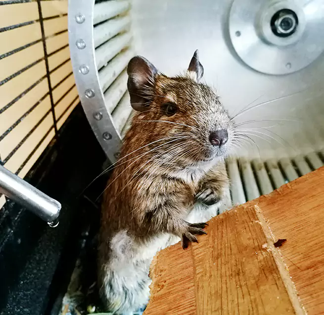 Why Homeowners & Businesses Trust Us Tulare, CA?